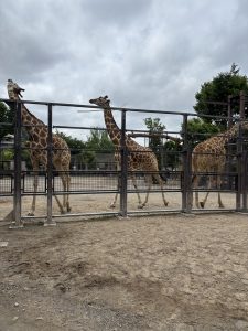 京都市動物園サポーターズデイ③