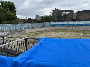 京都市動物園サポーターズデイ④